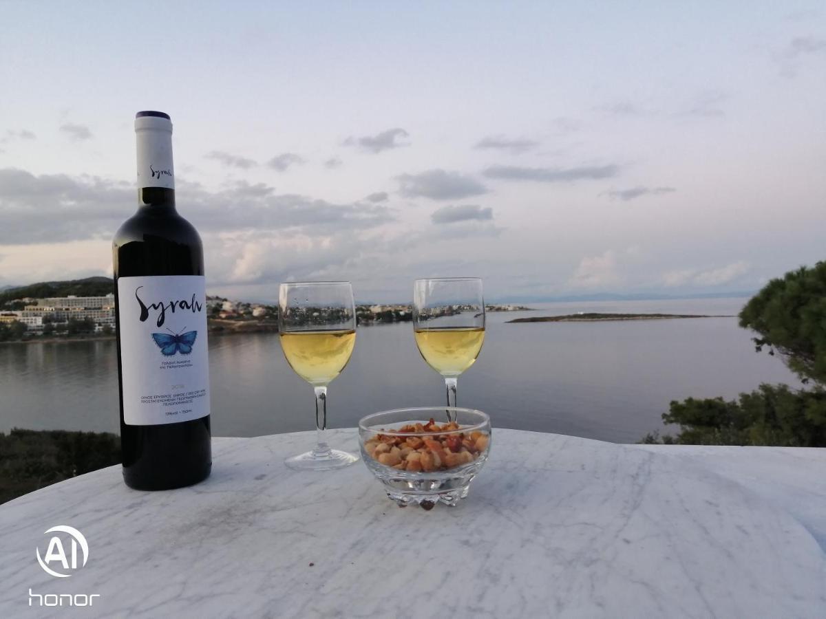 Artemis Villa Near Athens Airport Markopoulo Mesogaias Экстерьер фото